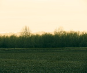 IMG_1073